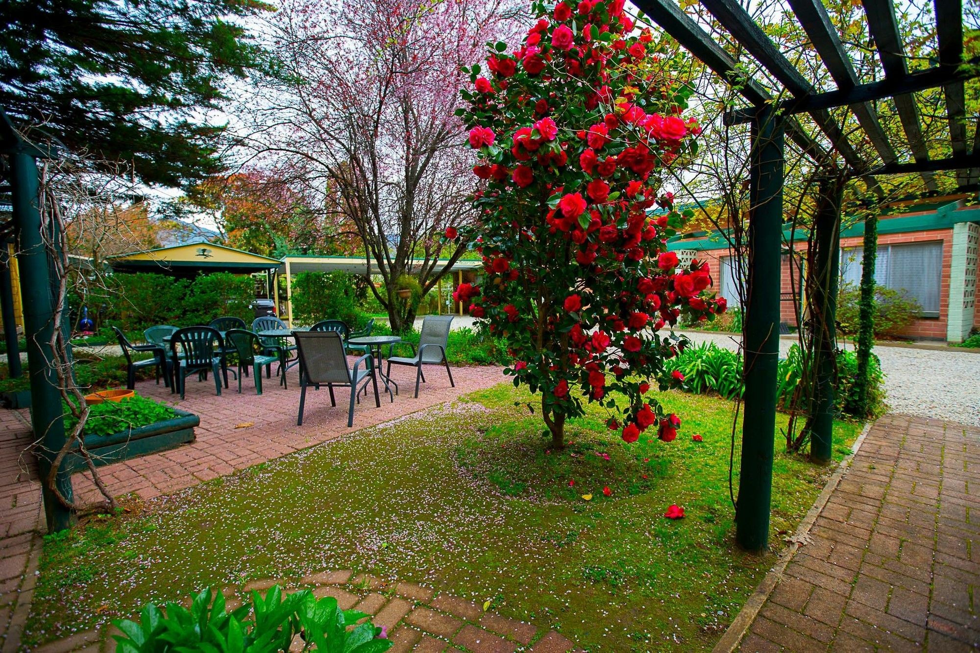 Carawatha Gardens Villa Bright Buitenkant foto